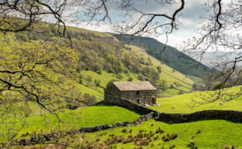 Stone Barns in Swaledale